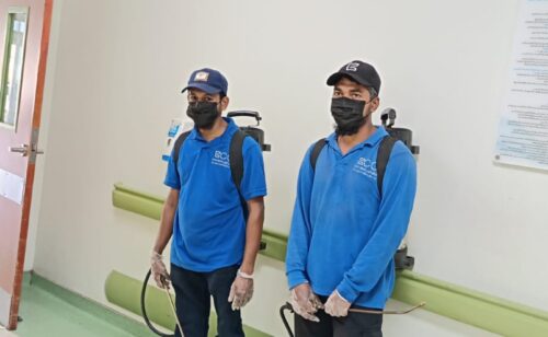 المتألق البيئي لتنسيق الحدائق (19)