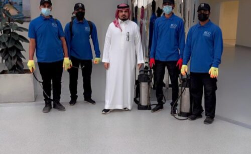 المتألق البيئي لتنسيق الحدائق (20)