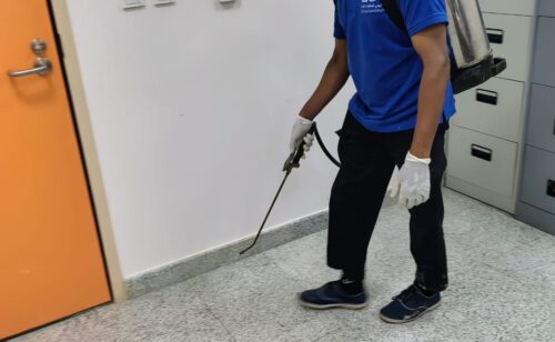 المتألق البيئي لتنسيق الحدائق (23)