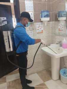 شركة مكافحة حشرات في جازان