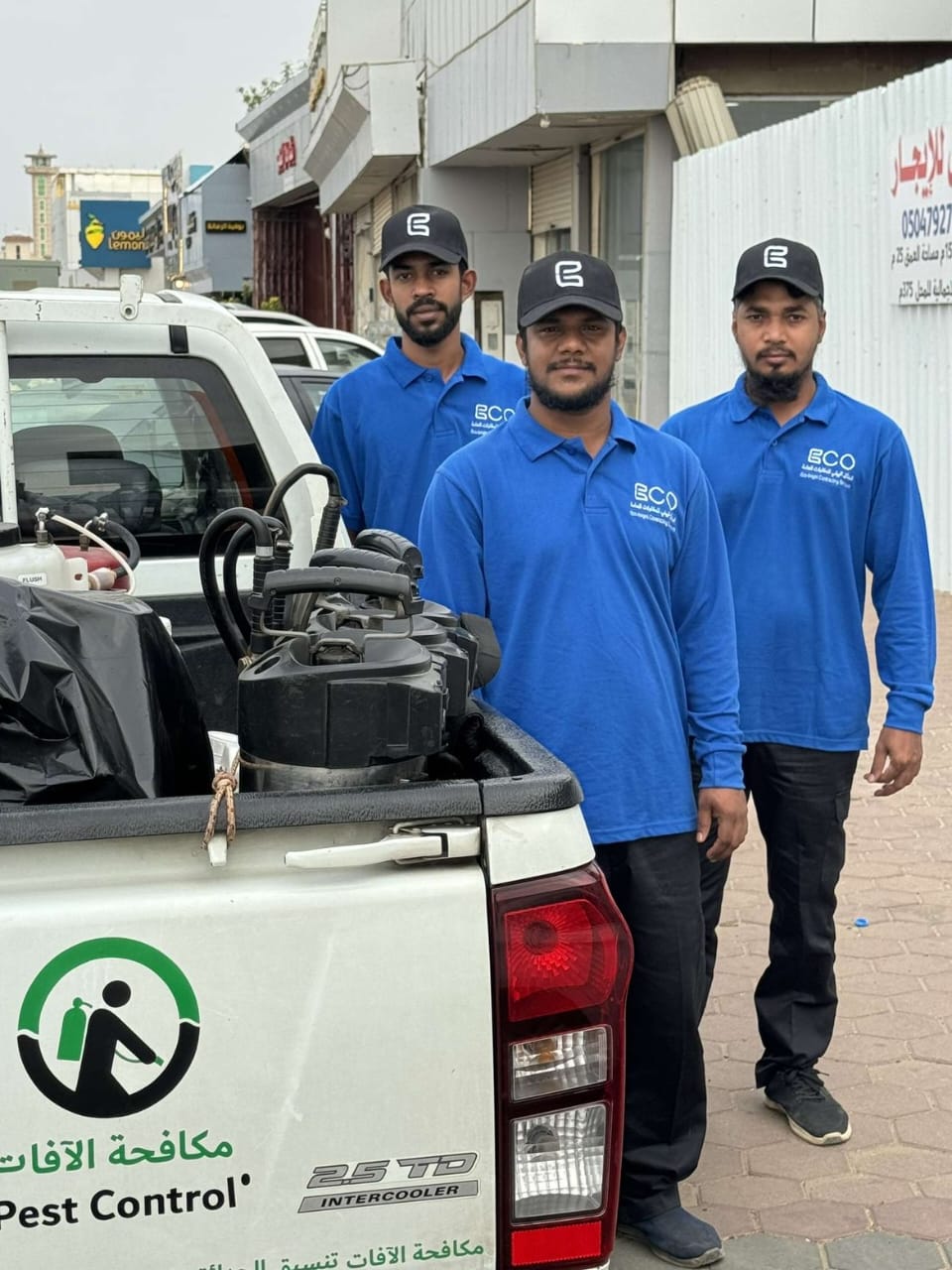 توريد الأشجار والنباتات في جازان