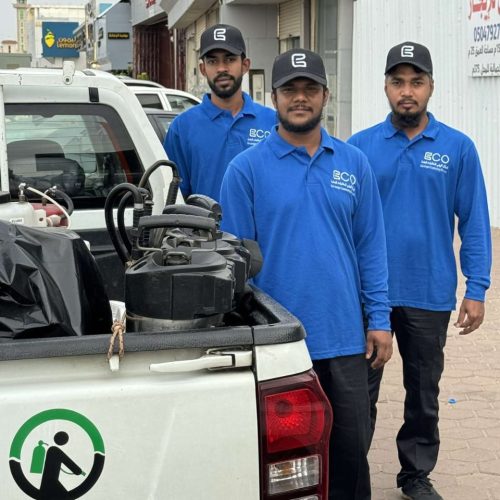 شركة مكافحة حشرات في جازان