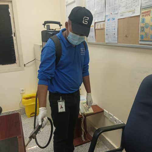 المتألق البيئي لتنسيق الحدائق (18)