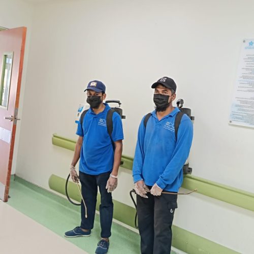 شركة مكافحة حشرات في جازان