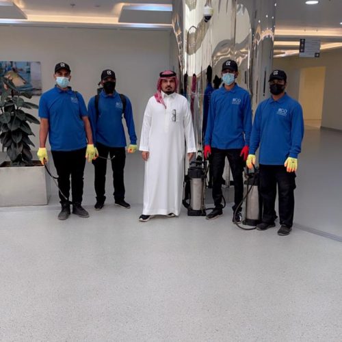 المتألق البيئي لتنسيق الحدائق (20)